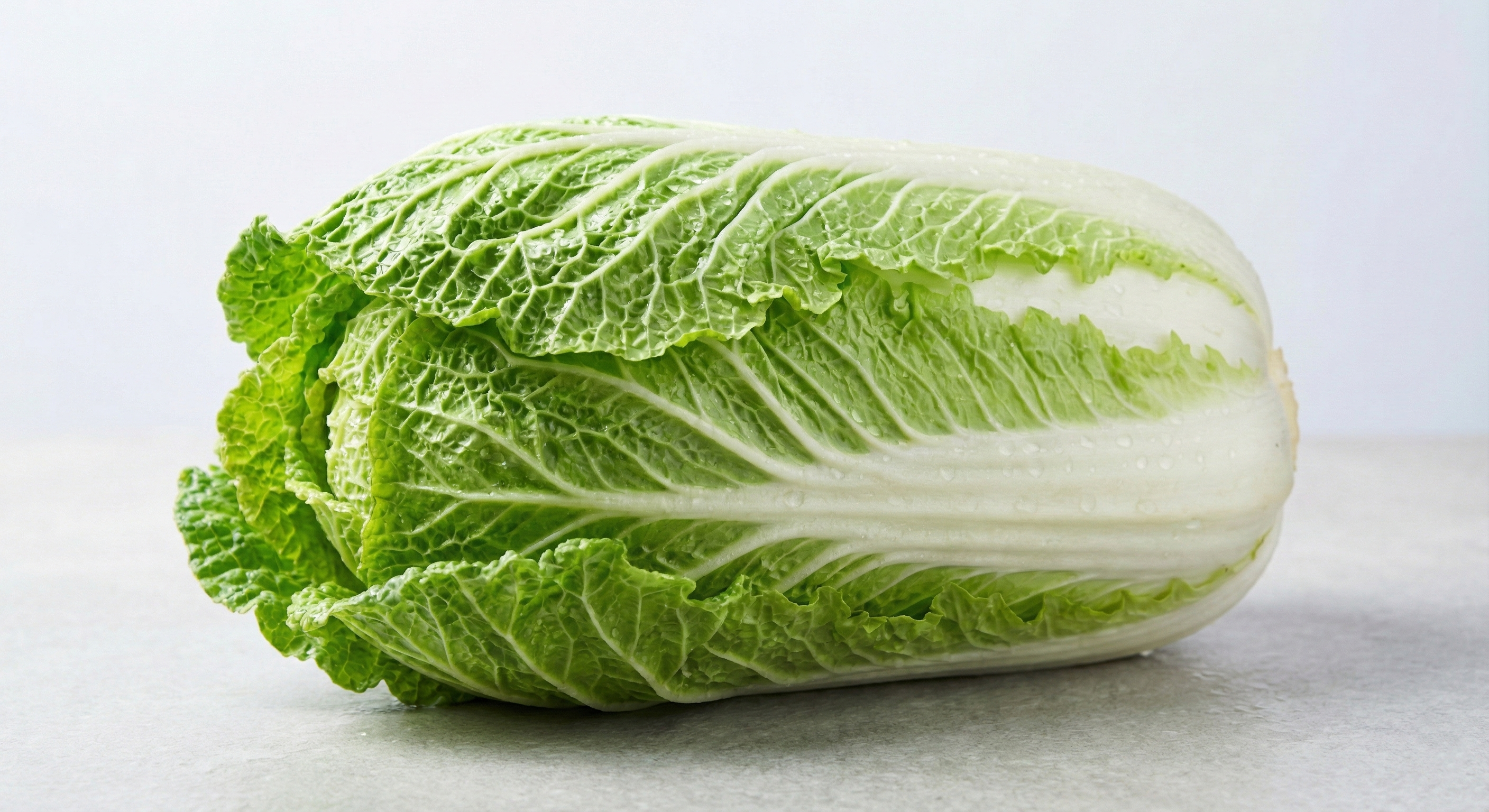 Chinese Cabbage