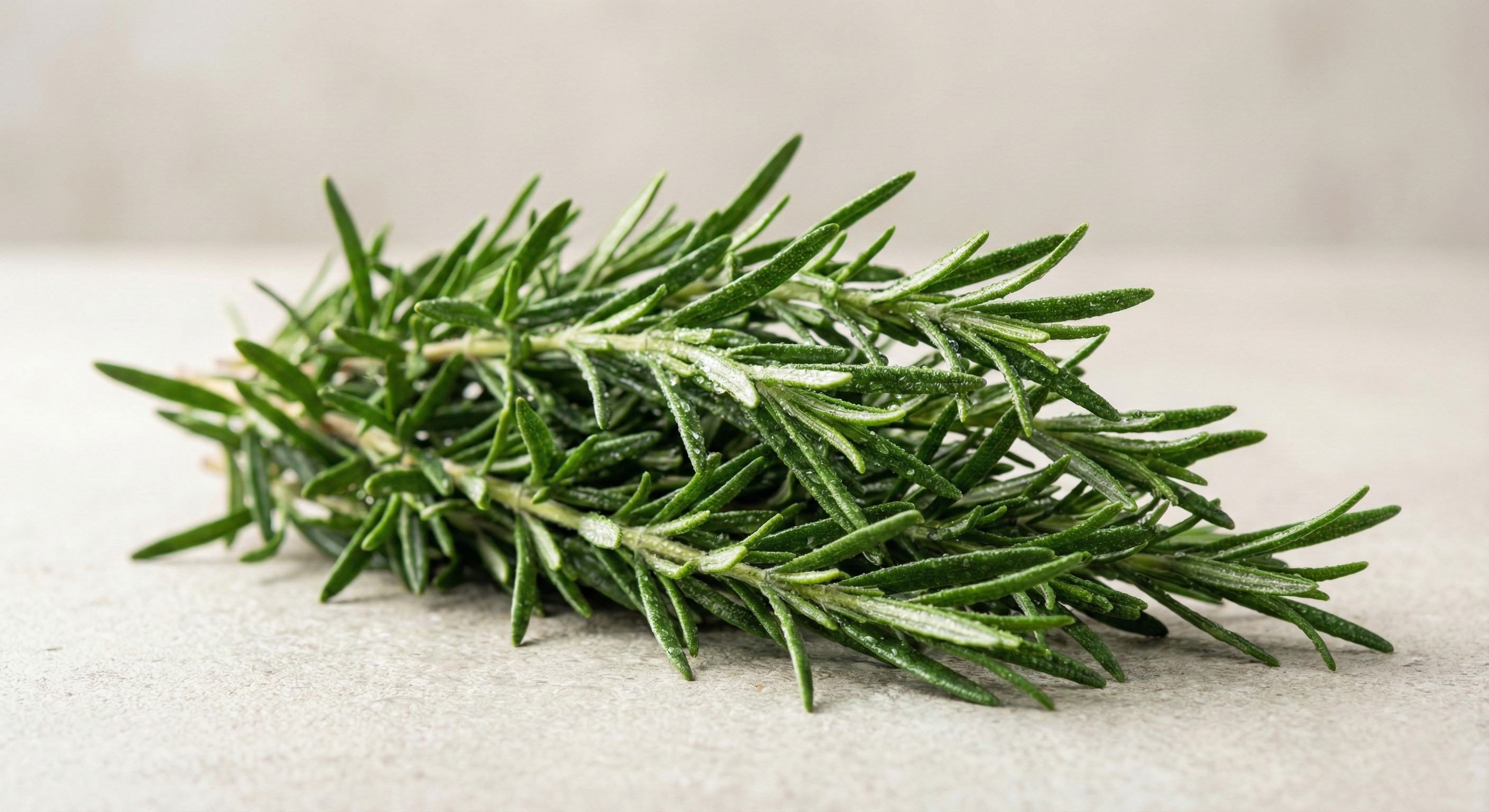 ताज़ा रोज़मेरी