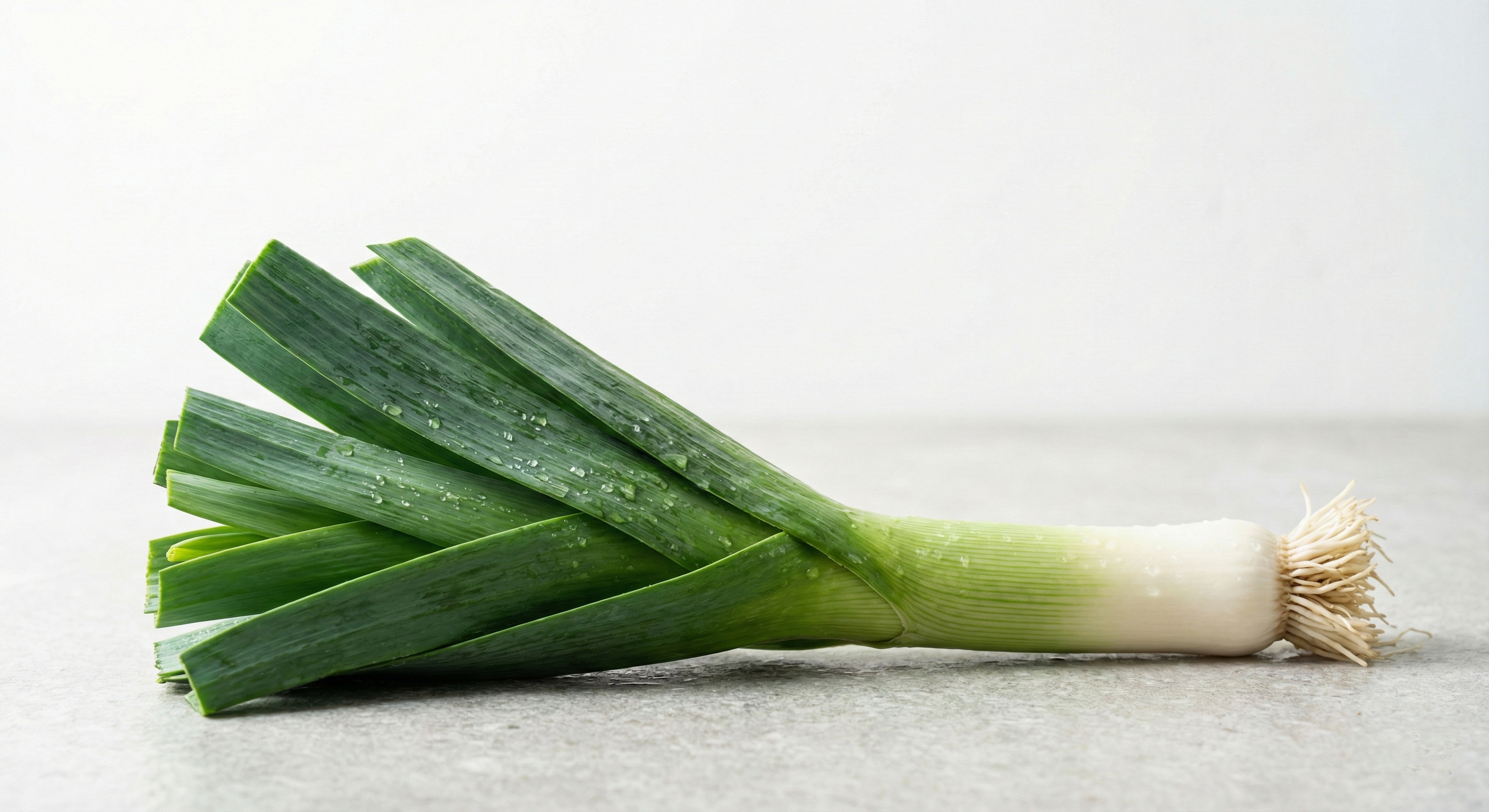 Green Leek