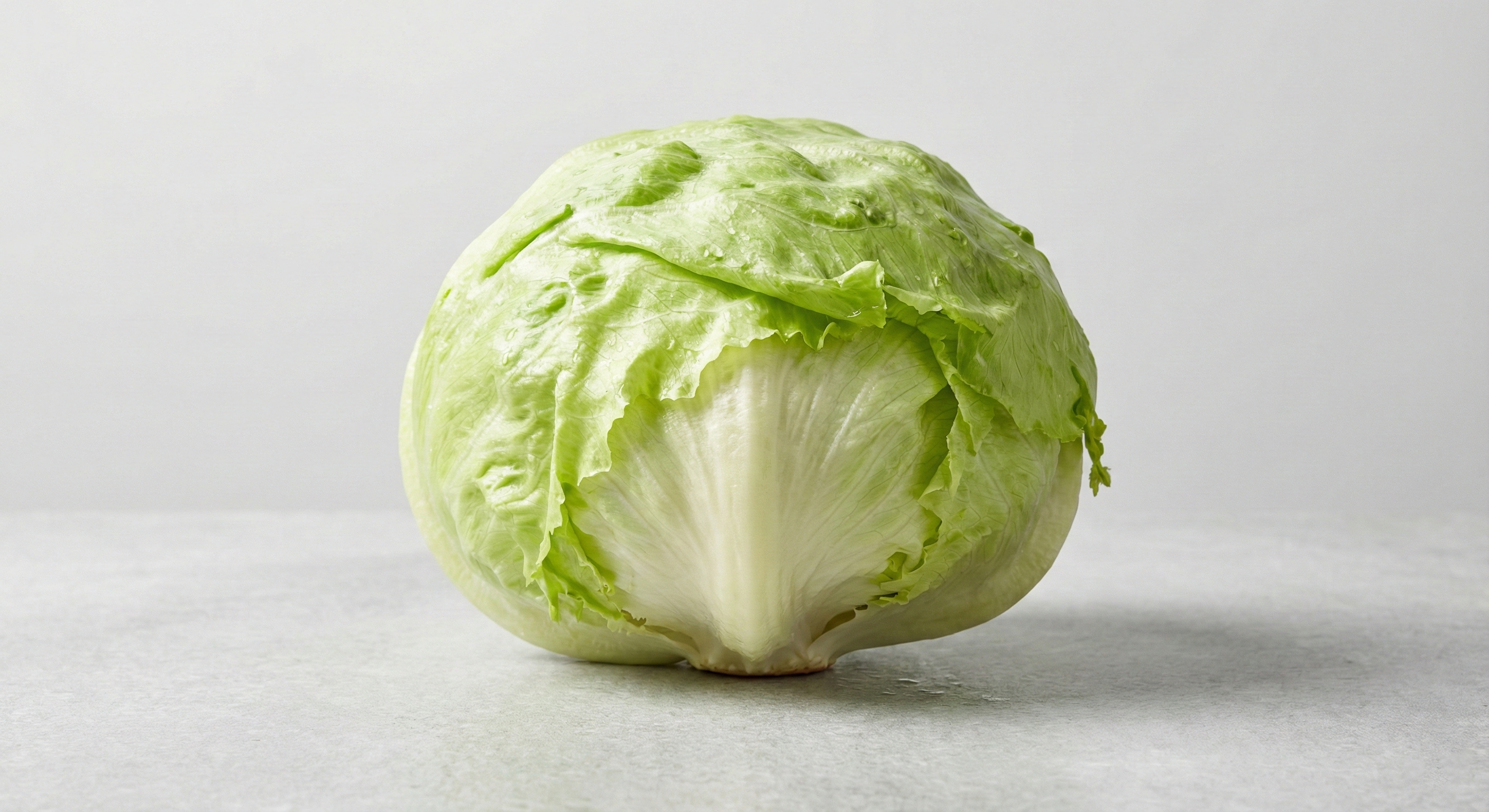 Lettuce Ice Berg