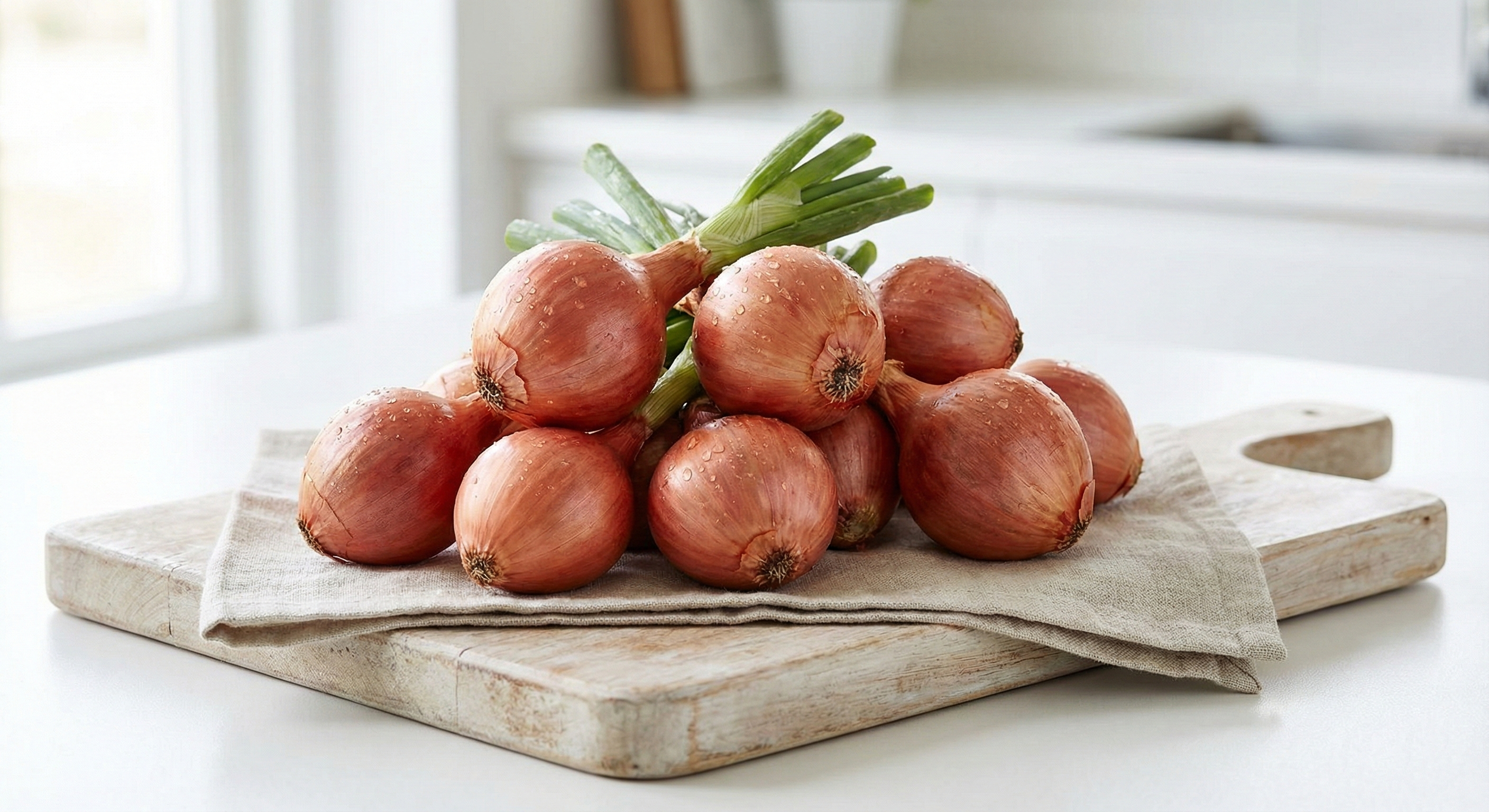 छोटा प्याज